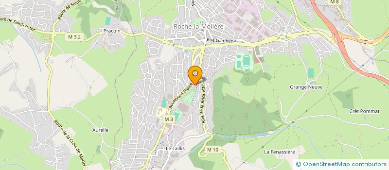 localisation de l'entreprise MONSIEUR CHARLES-XAVIER LAURENT à ROCHE-LA-MOLIERE