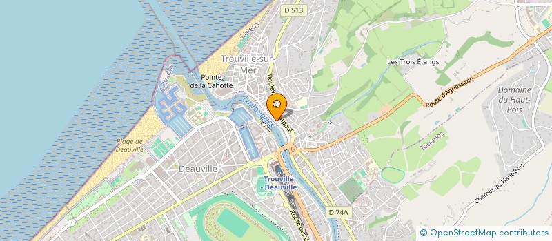 localisation de l'entreprise MONSIEUR CHARLES ZUO  TROUVILLE-SUR-MER