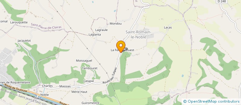 localisation de l'entreprise MONSIEUR CHARLIE DONNEFORT  SAINT-ROMAIN-LE-NOBLE