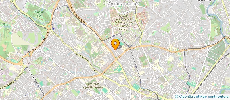 localisation de l'entreprise MONSIEUR CHARLY CARRERE à MONTPELLIER