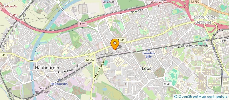 localisation de l'entreprise MONSIEUR CHARLY DESSOLY  LOOS