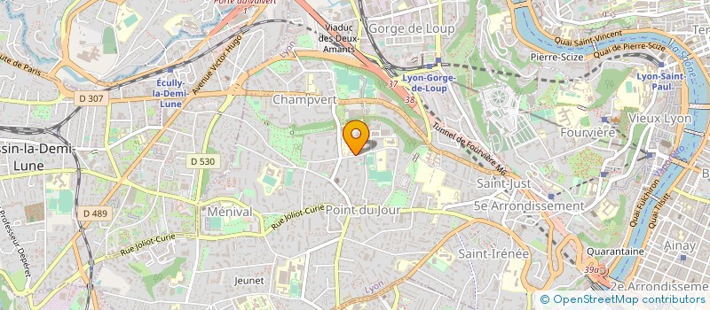 localisation de l'entreprise MONSIEUR CHARLY DJEUMEN WANDJI à LYON