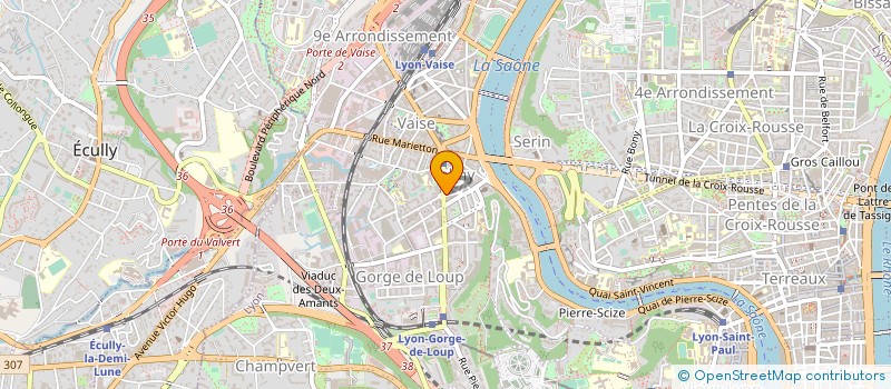 localisation de l'entreprise MONSIEUR CHEDLI DJEKFAL  LYON