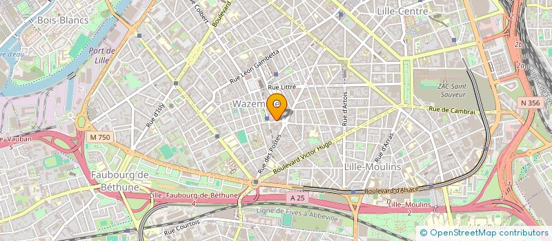 localisation de l'entreprise MONSIEUR CHICO JOSIAS KODJO à LILLE
