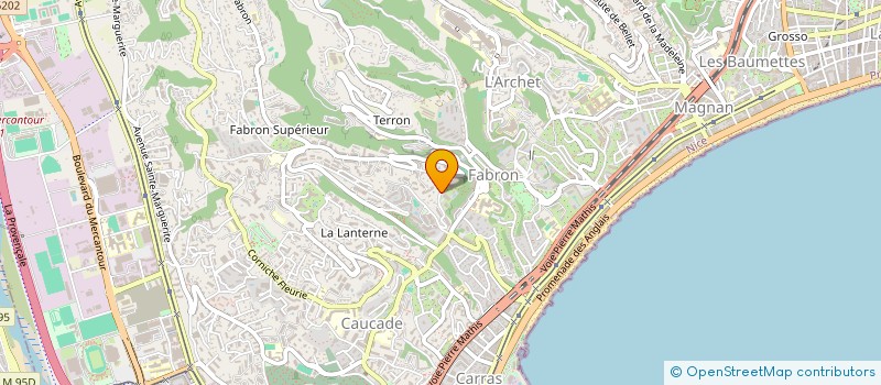 localisation de l'entreprise MONSIEUR CHRIS AVIGLIANO  NICE