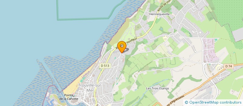 localisation de l'entreprise MONSIEUR CHRIS ZENTOU à TROUVILLE-SUR-MER