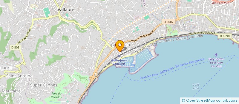 localisation de l'entreprise MONSIEUR CHRIST-SILVA MAFOLO à VALLAURIS
