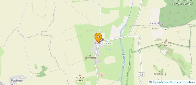 localisation de l'entreprise MONSIEUR CHRISTIAN ARNOULD  BURLIONCOURT