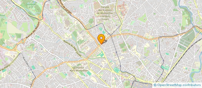 localisation de l'entreprise MONSIEUR CHRISTIAN BALAGUER à MONTPELLIER