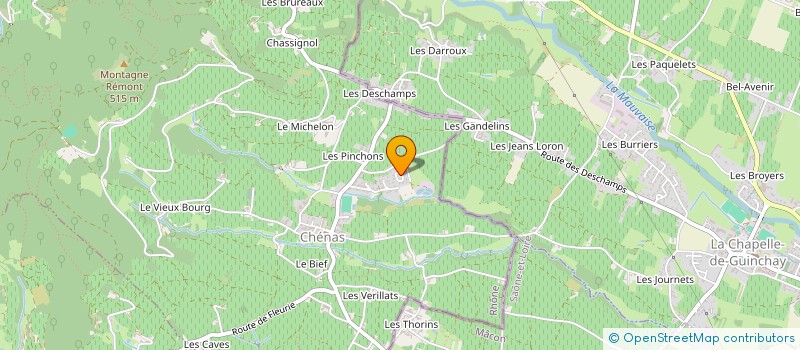 localisation de l'entreprise MONSIEUR CHRISTIAN BLASZCZYK à CHENAS