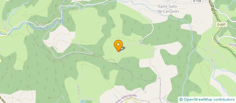 localisation de l'entreprise MONSIEUR CHRISTIAN CALVET  SAINT-SALVI-DE-CARCAVES