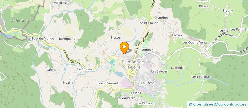 localisation de l'entreprise MONSIEUR CHRISTIAN CHASSIGNOL à BELMONT-DE-LA-LOIRE