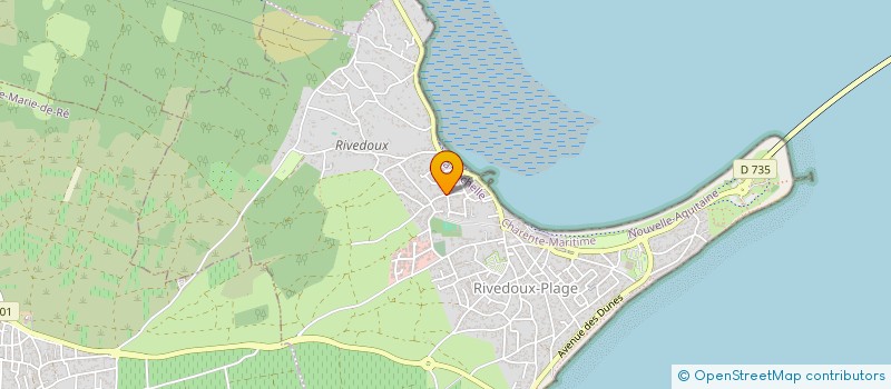 localisation de l'entreprise MONSIEUR CHRISTIAN CHEMIN  RIVEDOUX-PLAGE