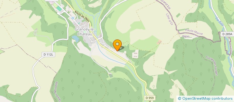 localisation de l'entreprise MONSIEUR CHRISTIAN CHENEBAULT  GRANCEY-LE-CHATEAU-NEUVELLE