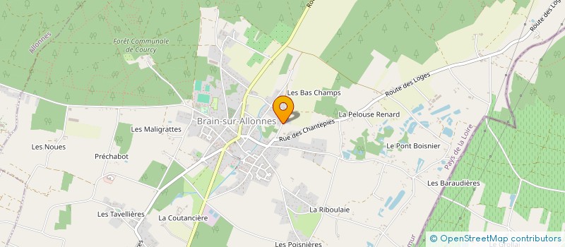 localisation de l'entreprise MONSIEUR CHRISTIAN CHENUAU à BRAIN-SUR-ALLONNES