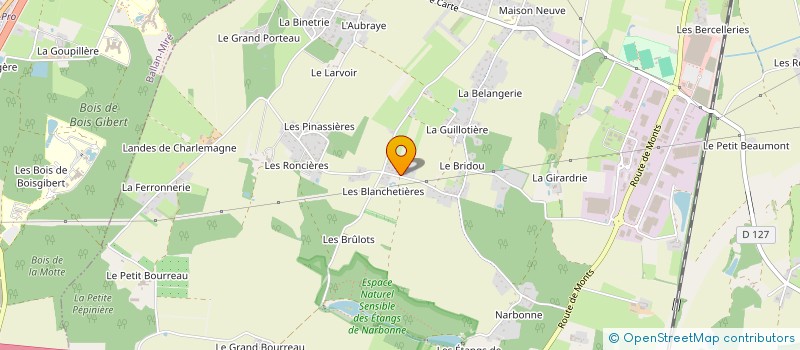 localisation de l'entreprise MONSIEUR CHRISTIAN CLEMENT à JOUE-LES-TOURS