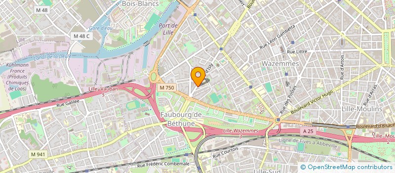 localisation de l'entreprise MONSIEUR CHRISTIAN DEFEVER à LILLE