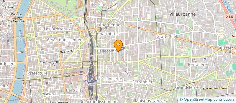 localisation de l'entreprise MONSIEUR CHRISTIAN DEFOULOUNOUX  LYON