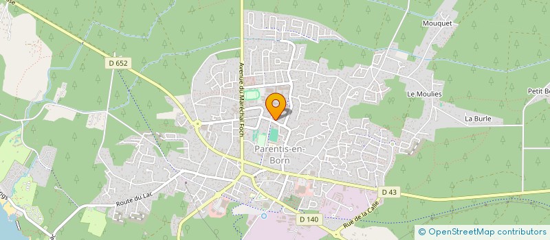 localisation de l'entreprise MONSIEUR CHRISTIAN DUVIC  PARENTIS-EN-BORN