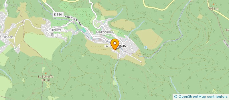 localisation de l'entreprise MONSIEUR CHRISTIAN FELDER  NEUVILLER-LA-ROCHE