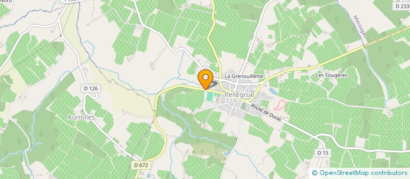 localisation de l'entreprise MONSIEUR CHRISTIAN GENESTE à PELLEGRUE