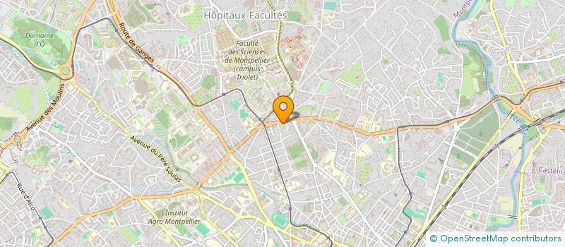 localisation de l'entreprise MONSIEUR CHRISTIAN HUSER à MONTPELLIER
