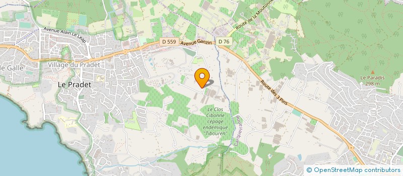 localisation de l'entreprise MONSIEUR CHRISTIAN INCARDONA  LE PRADET