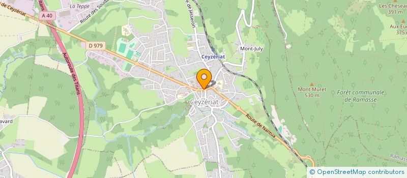 localisation de l'entreprise MONSIEUR CHRISTIAN JANODY  LYON