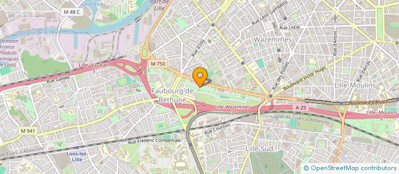 localisation de l'entreprise MONSIEUR CHRISTIAN KOULEMOU à LILLE