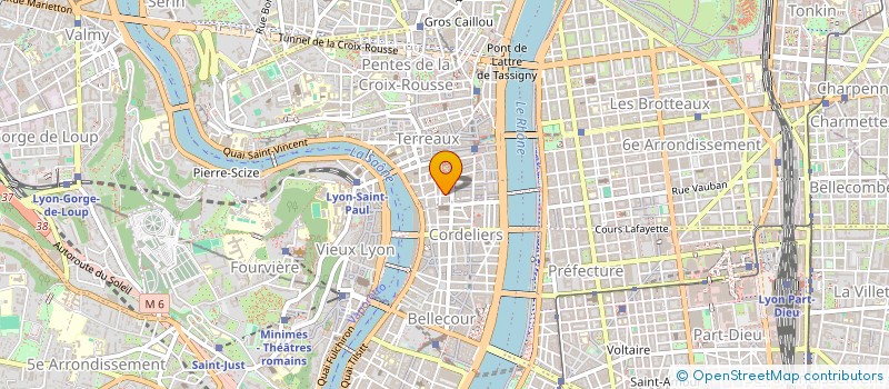 localisation de l'entreprise MONSIEUR CHRISTIAN LIGER DELAMAIN à LYON