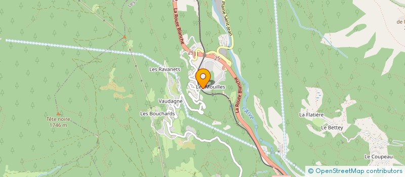 localisation de l'entreprise MONSIEUR CHRISTIAN NASTYN  LES HOUCHES