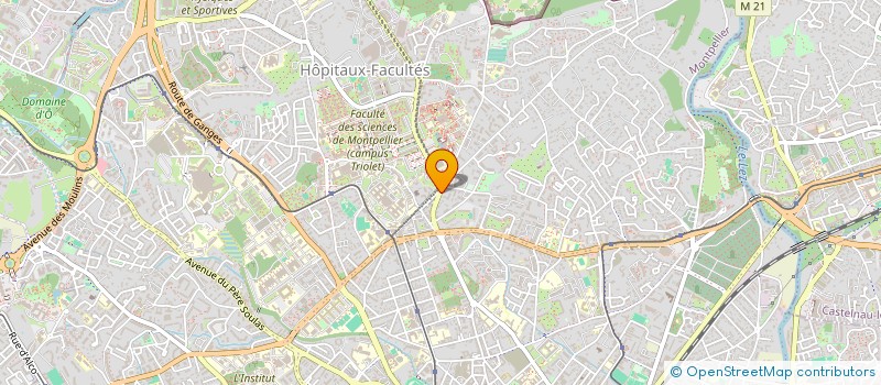 localisation de l'entreprise MONSIEUR CHRISTIAN NGUYEN-PHUC à MONTPELLIER