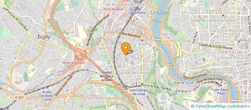 localisation de l'entreprise MONSIEUR CHRISTIAN NUNYAVA à LYON