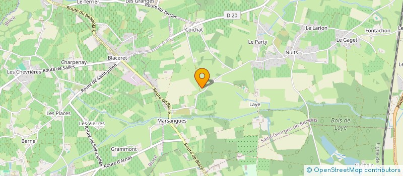localisation de l'entreprise MONSIEUR CHRISTIAN PELLET à SAINT-GEORGES-DE-RENEINS