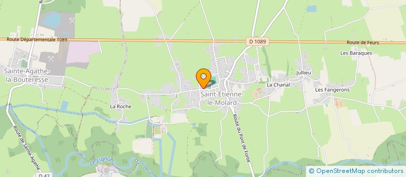 localisation de l'entreprise MONSIEUR CHRISTIAN PLANCHE  SAINT-ETIENNE-LE-MOLARD