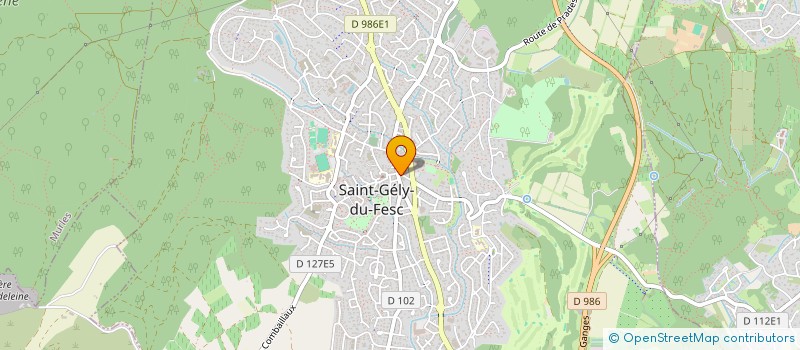 localisation de l'entreprise MONSIEUR CHRISTIAN POMAREDE  SAINT-GELY-DU-FESC