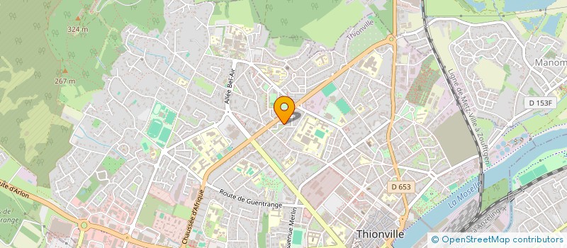 localisation de l'entreprise MONSIEUR CHRISTIAN RUFF à THIONVILLE