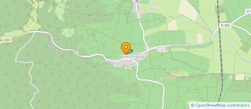 localisation de l'entreprise MONSIEUR CHRISTIAN SCHWARTZ  BLIENSCHWILLER