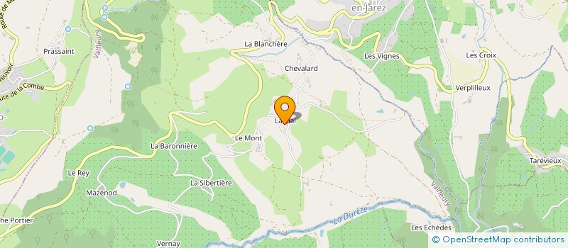 localisation de l'entreprise MONSIEUR CHRISTIAN VIRISSEL à VALFLEURY