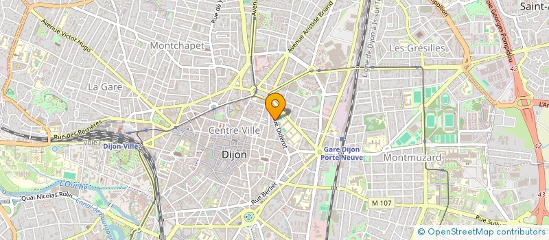 localisation de l'entreprise MONSIEUR CHRISTOPHE ALLOUIS  DIJON