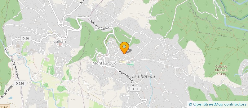 localisation de l'entreprise MONSIEUR CHRISTOPHE BERNARD  MONTAUROUX