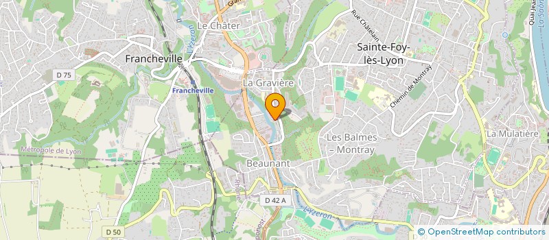 localisation de l'entreprise MONSIEUR CHRISTOPHE BISSON  SAINTE-FOY-LES-LYON