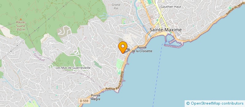 localisation de l'entreprise MONSIEUR CHRISTOPHE BON à SAINTE-MAXIME