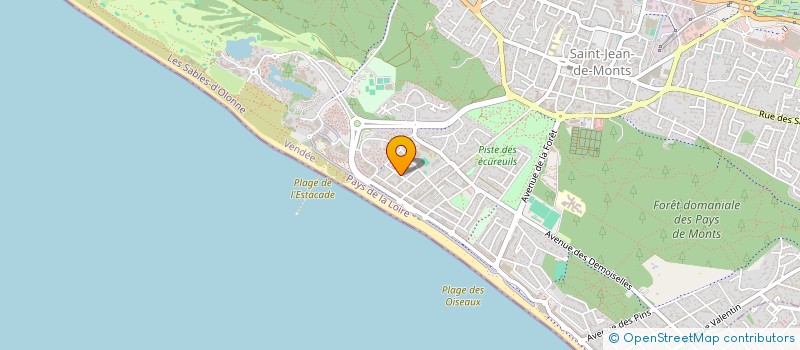 localisation de l'entreprise MONSIEUR CHRISTOPHE BONDU  SAINT-JEAN-DE-MONTS
