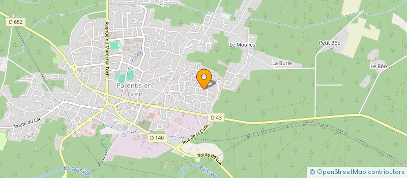 localisation de l'entreprise MONSIEUR CHRISTOPHE BONNELIE  PARENTIS-EN-BORN