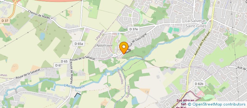 localisation de l'entreprise MONSIEUR CHRISTOPHE BORDES  LA SALVETAT-SAINT-GILLES