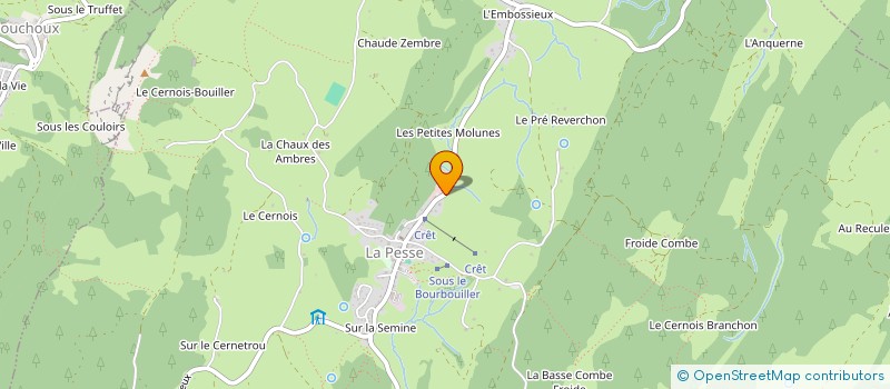 localisation de l'entreprise MONSIEUR CHRISTOPHE BROQUEDIS à LA PESSE