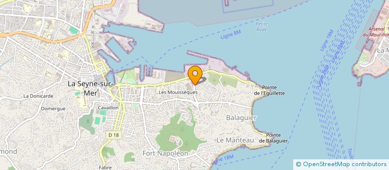 localisation de l'entreprise MONSIEUR CHRISTOPHE CAILLARD  LA SEYNE-SUR-MER