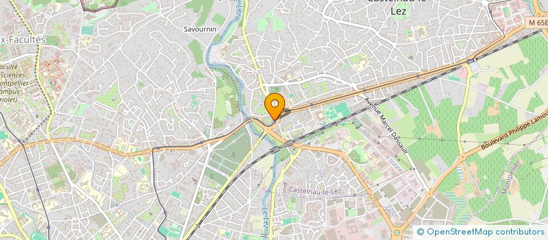 localisation de l'entreprise MONSIEUR CHRISTOPHE CAVALIERE  CASTELNAU-LE-LEZ