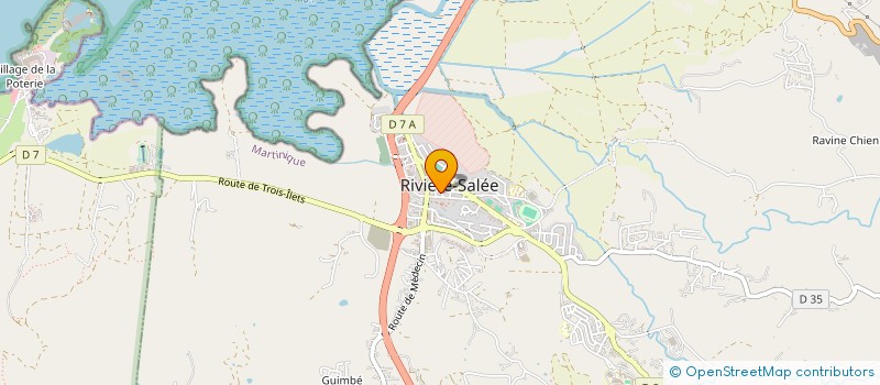 localisation de l'entreprise MONSIEUR CHRISTOPHE CHANDEY  RIVIERE-SALEE